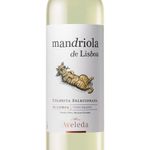 vinho-branco-mandriola-de-lisboa-750ml-2