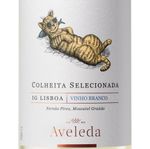 vinho-branco-mandriola-de-lisboa-750ml-3