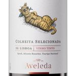 vinho-tinto-mandriola-de-lisboa-750ml-3
