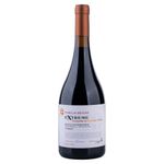 vinho-tinto-uruguaio-familia-deicas-suelo-invertido-tannat.jpg
